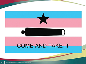 transgender flag, come and take it