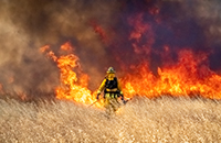 firefighter surrounded by a wildfire