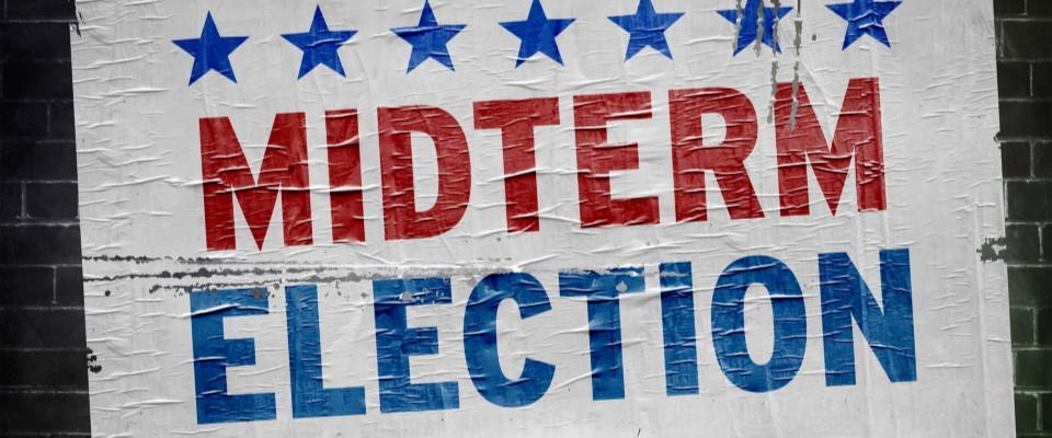 Midterm Election Sign