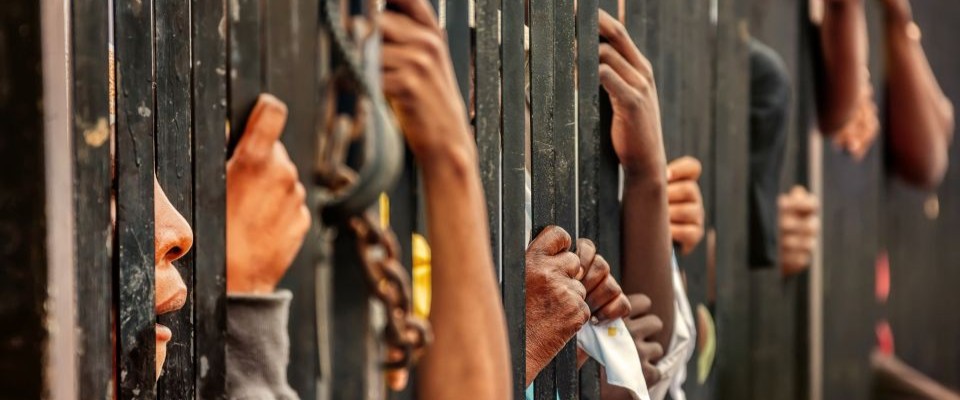 People behind caged fence