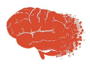 illustration of brain