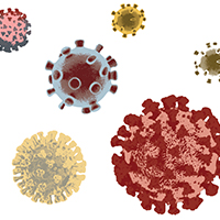 coronavirus molecules