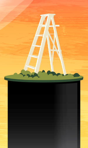 ladder on a pedestal