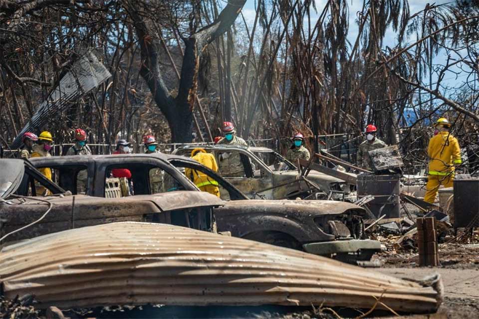 rescue workers, burned-out cars, trees