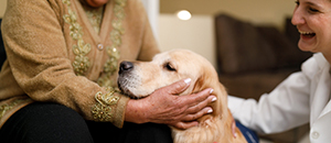 two women petting a golden retriever dog