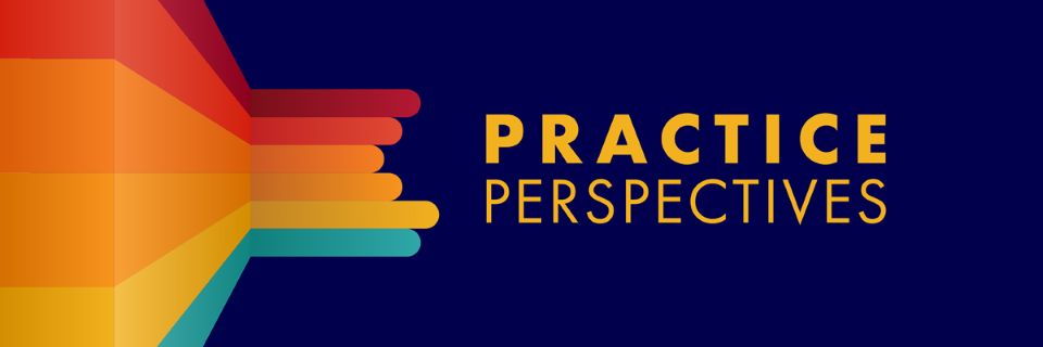 practice perspectives banner