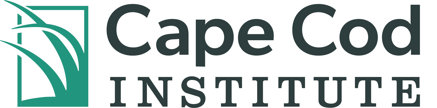 Cape Cod Institute Logo